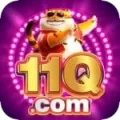 11q VIP Latest v1.6.2